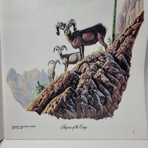 Arizona Highways Artwork Magazine February 1976 Larry Toschik Bobcat Deer Fawn - Picture 4 of 11